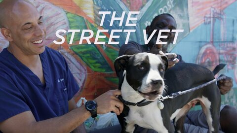 The Street Vet