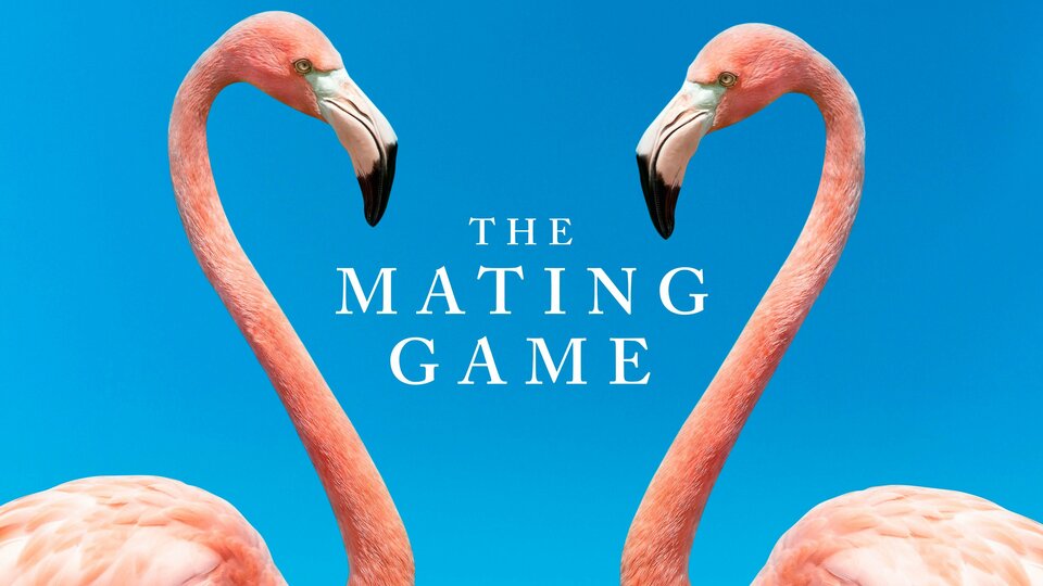 The Mating Game - Discovery+