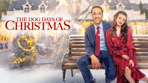 The Dog Days of Christmas