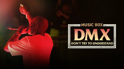 DMX: Don't Try to Understand
