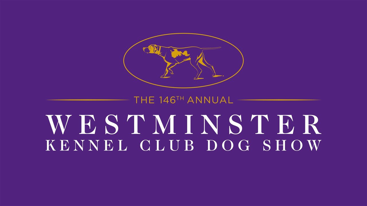 Westminster Kennel Club Dog Show Fox Sports 1 Special