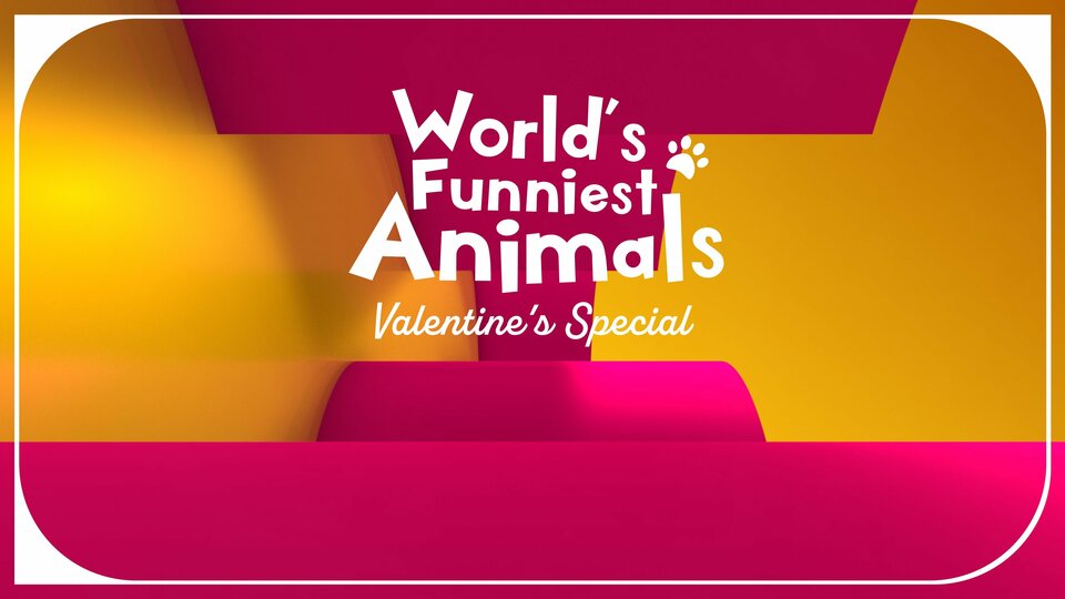 World's Funniest Animals: Valentine's Day - The CW