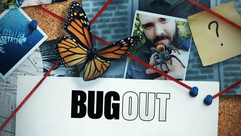 Bug Out