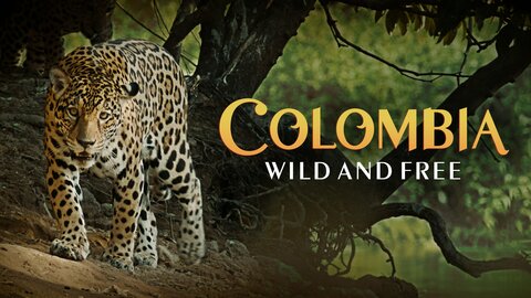 Colombia—Wild and Free