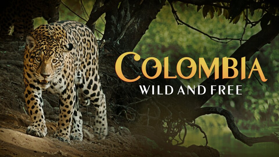 Colombia—Wild and Free - PBS