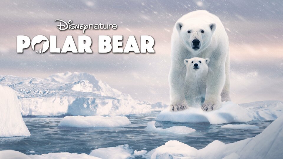 Polar Bear - Disney+