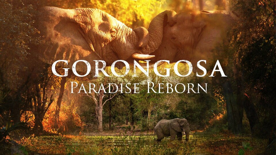Gorongosa: Paradise Reborn - Nat Geo