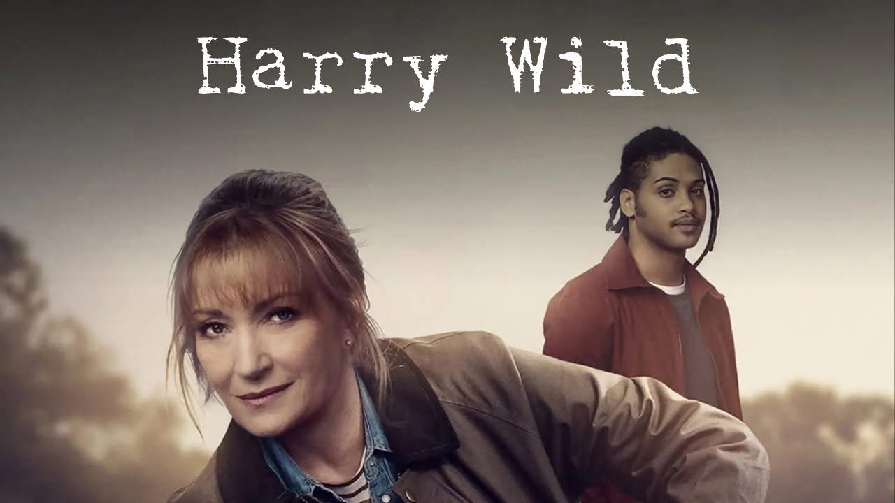 Harry Wild - Acorn TV Series - Where To Watch