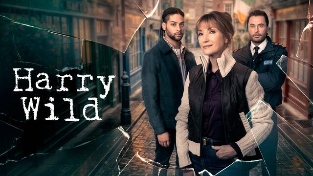 Harry Wild key art