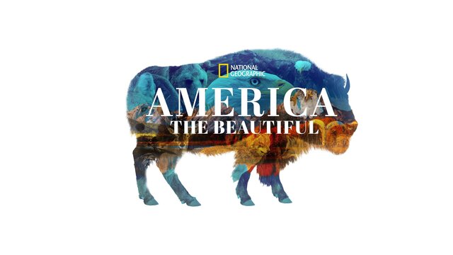America the Beautiful key art