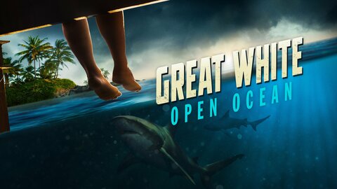 Great White Open Ocean