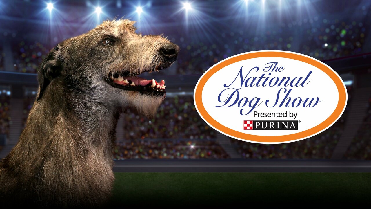 The National Dog Show NBC Special