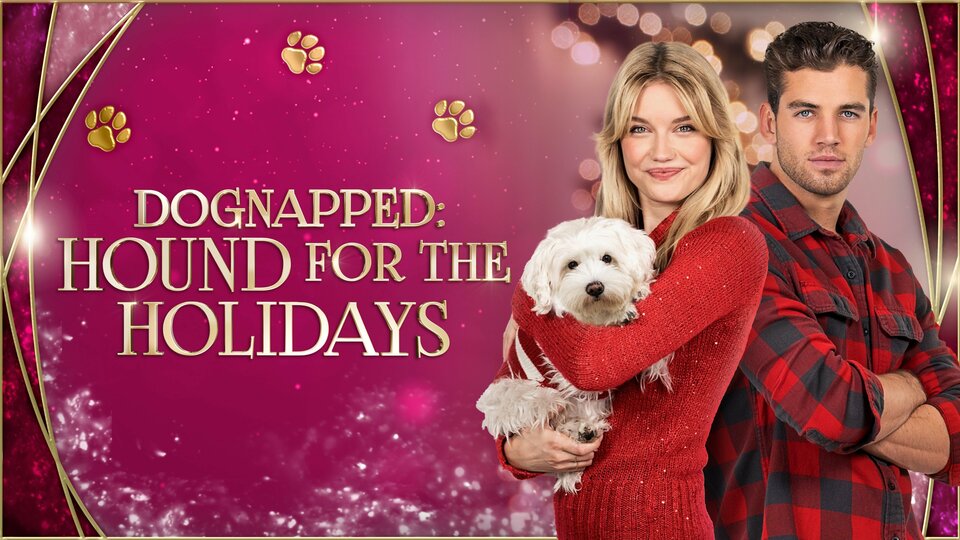 Dognapped: Hound for the Holidays - Ion Television