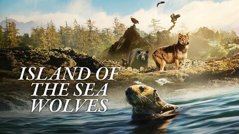 Island of the Sea Wolves