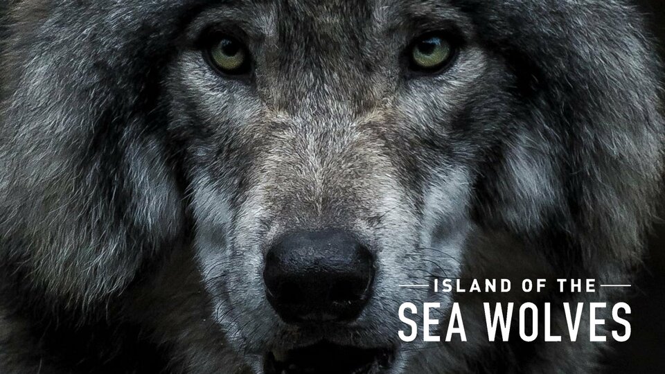 Island of the Sea Wolves - Netflix