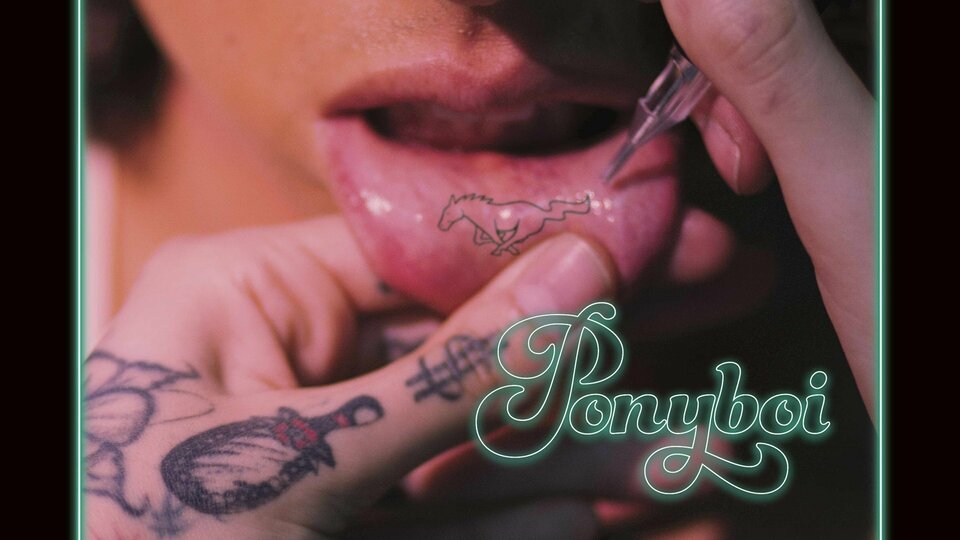 Ponyboi - 