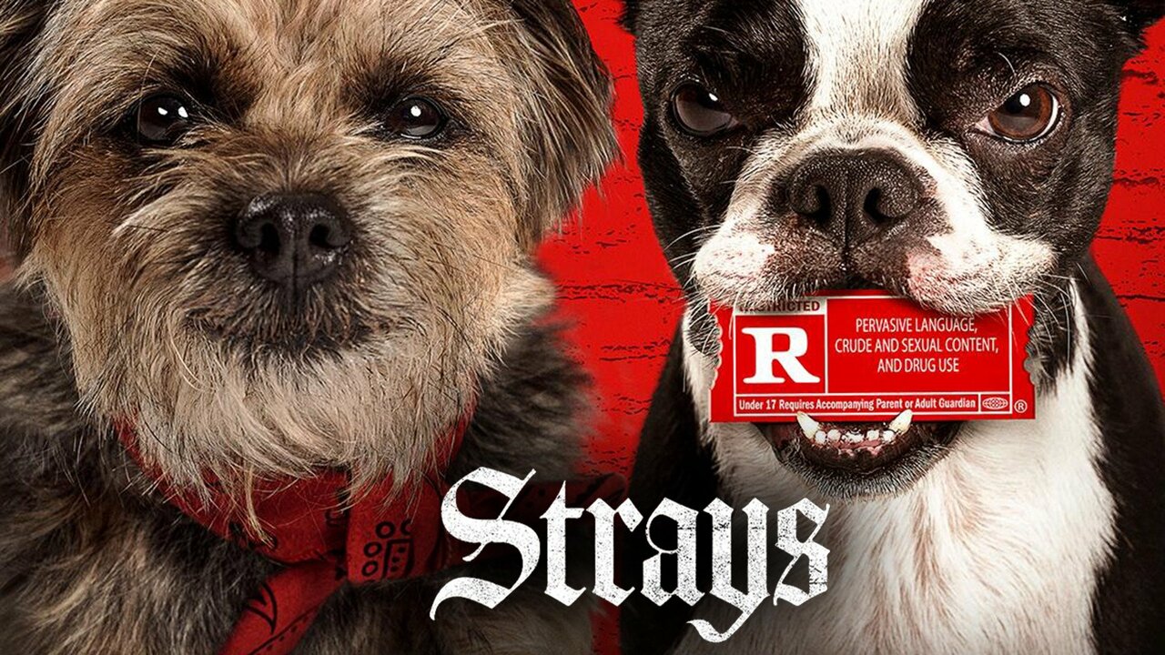 Where To Watch Strays 2025