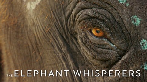 The Elephant Whisperers