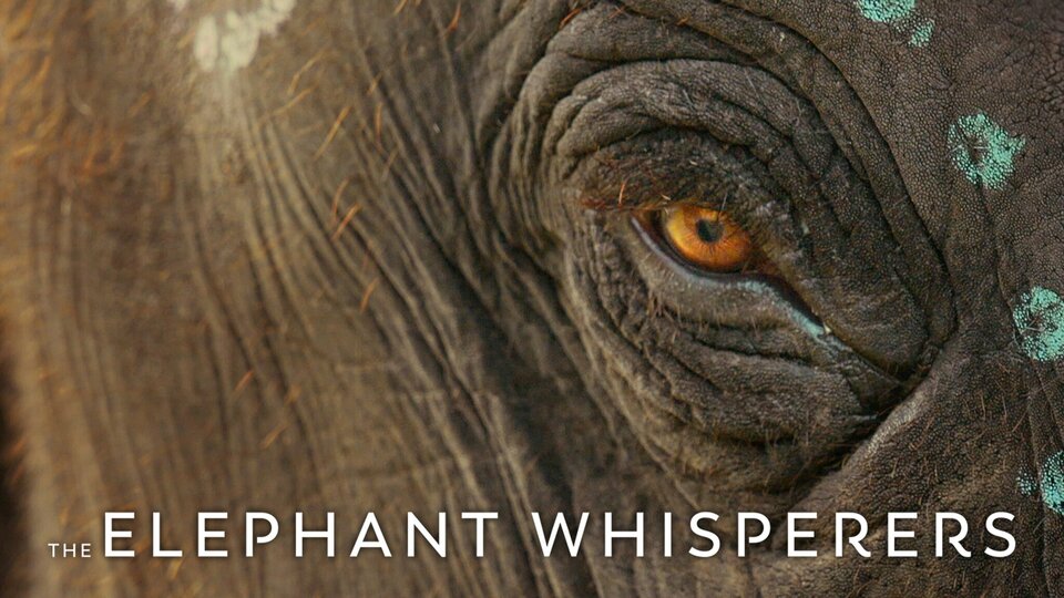 The Elephant Whisperers - Netflix