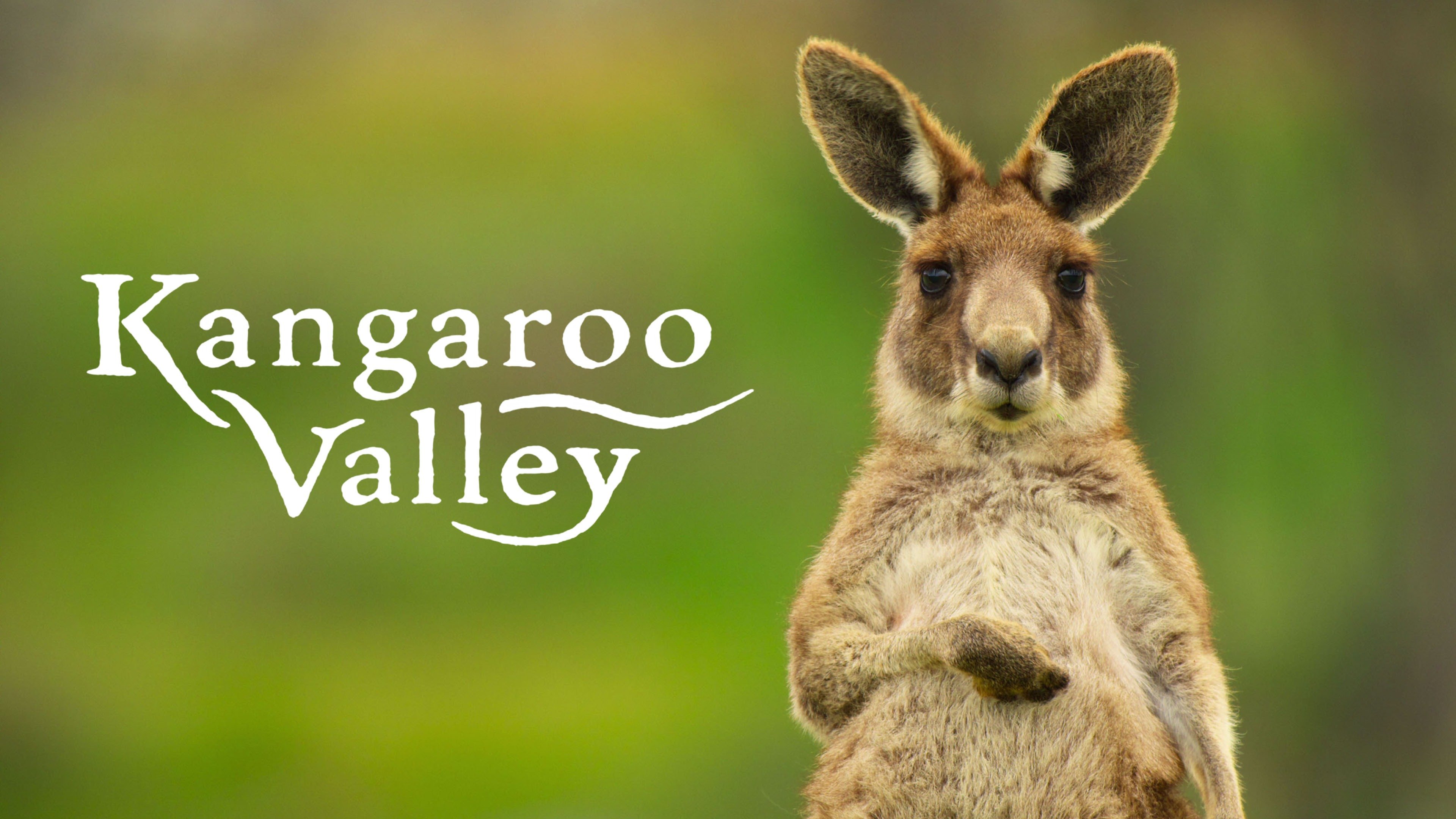 Kangaroo Valley - Netflix Documentary