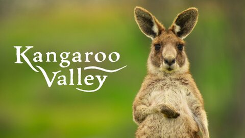 Kangaroo Valley