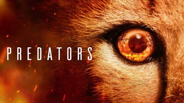 Predators (2023) key art