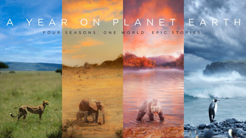 A Year on Planet Earth - FOX Nation