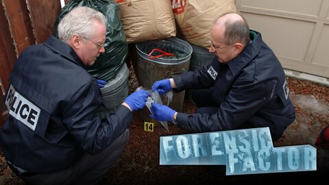 Forensic Factor