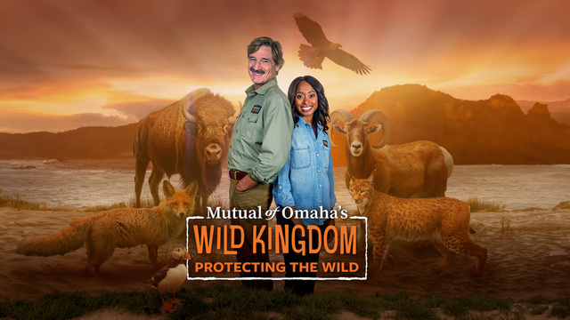 Wild Kingdom: Protecting the Wild key art