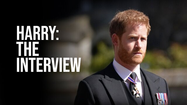 Harry: The Interview key art