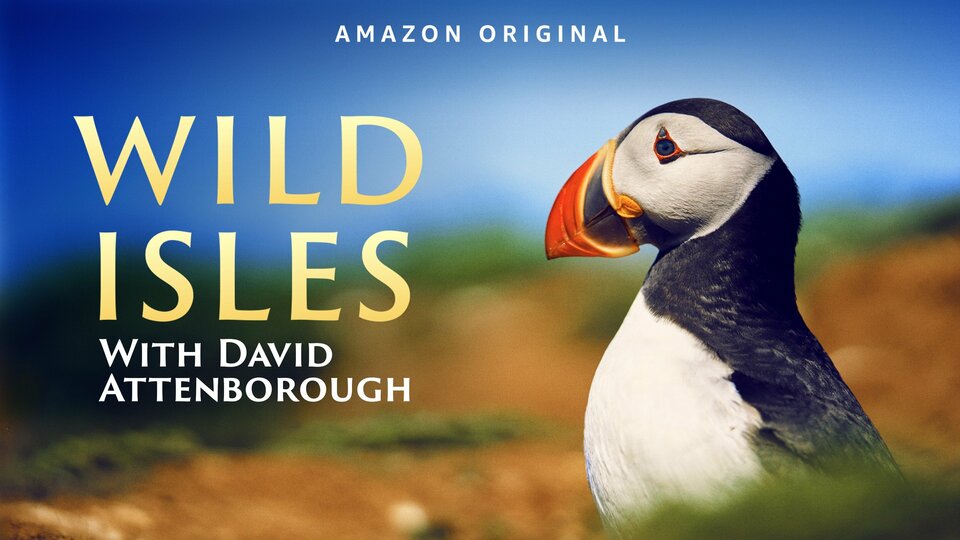 Wild Isles - Amazon Prime Video
