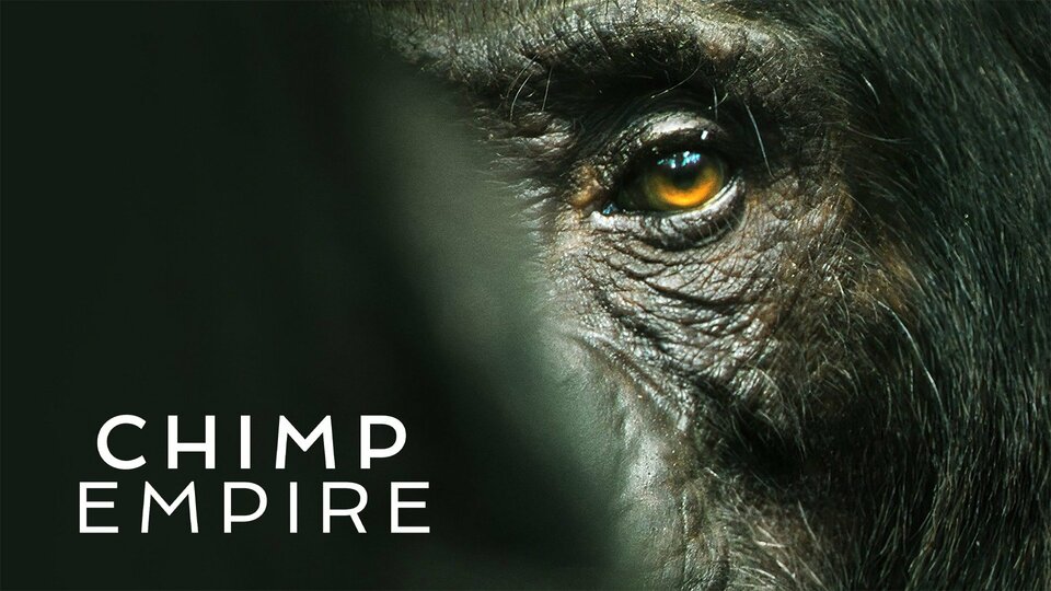 Chimp Empire - Netflix
