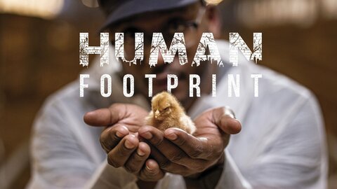 Human Footprint