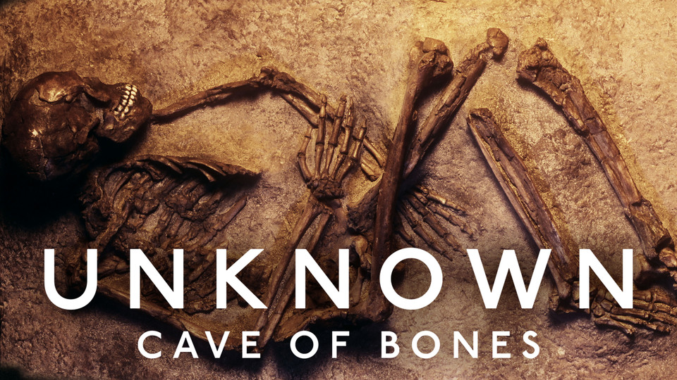 Unknown: Cave of Bones - Netflix