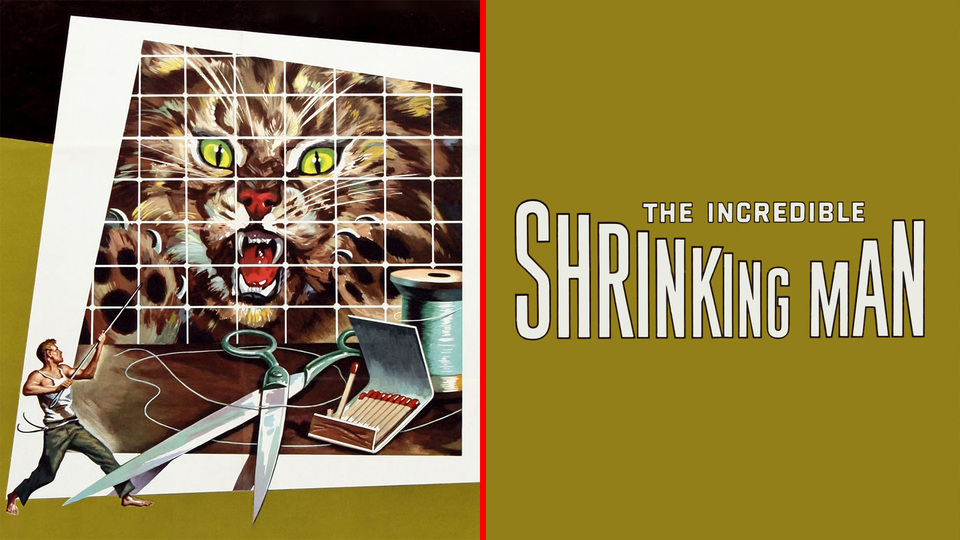 The Incredible Shrinking Man - 