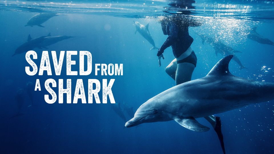 Saved from a Shark - Nat Geo