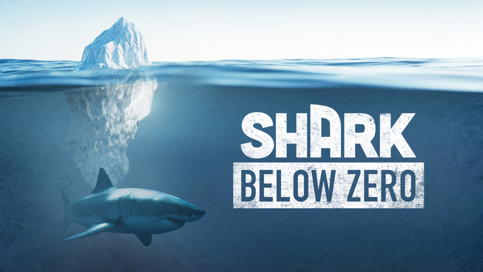 Shark Below Zero - Nat Geo