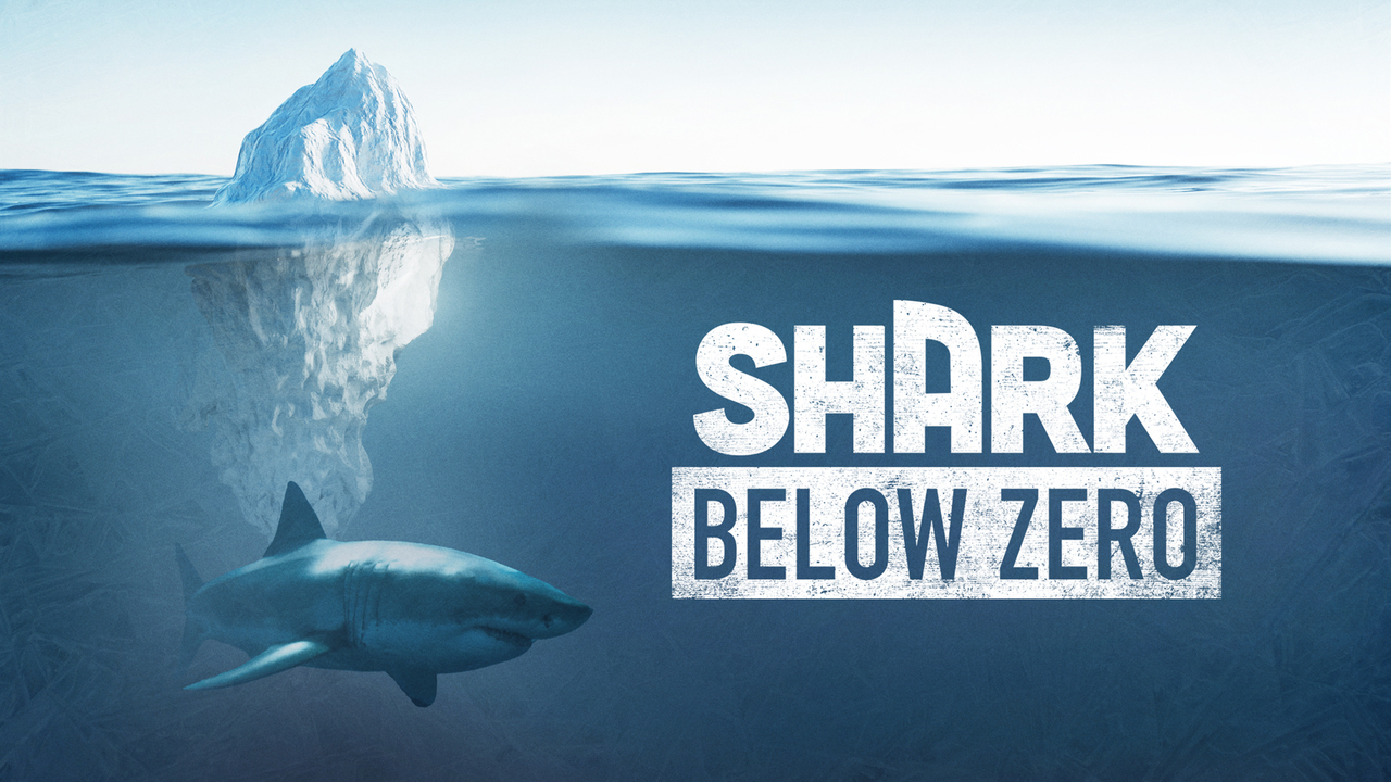 Shark Below Zero Nat Geo Special Where To Watch