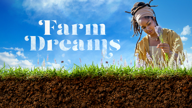 Farm Dreams key art