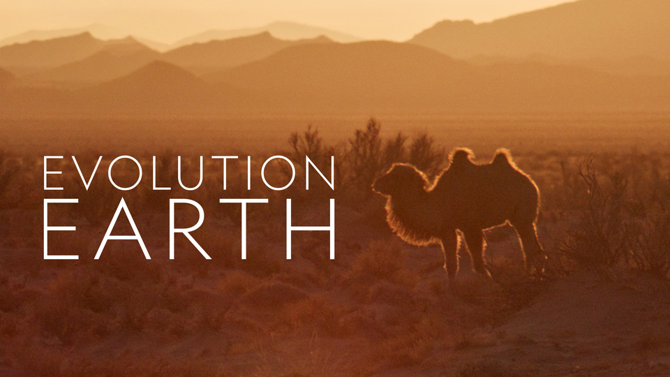 Evolution Earth - PBS