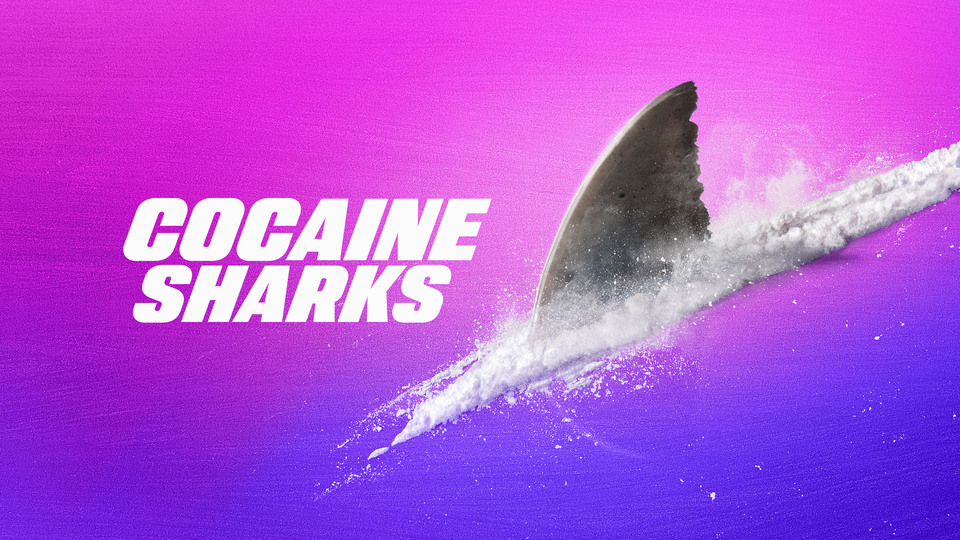 Cocaine Sharks - Discovery Channel