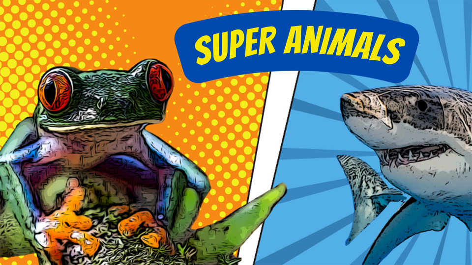 Super Animals - Nat Geo