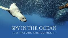 Spy in the Ocean: A Nature Miniseries - PBS