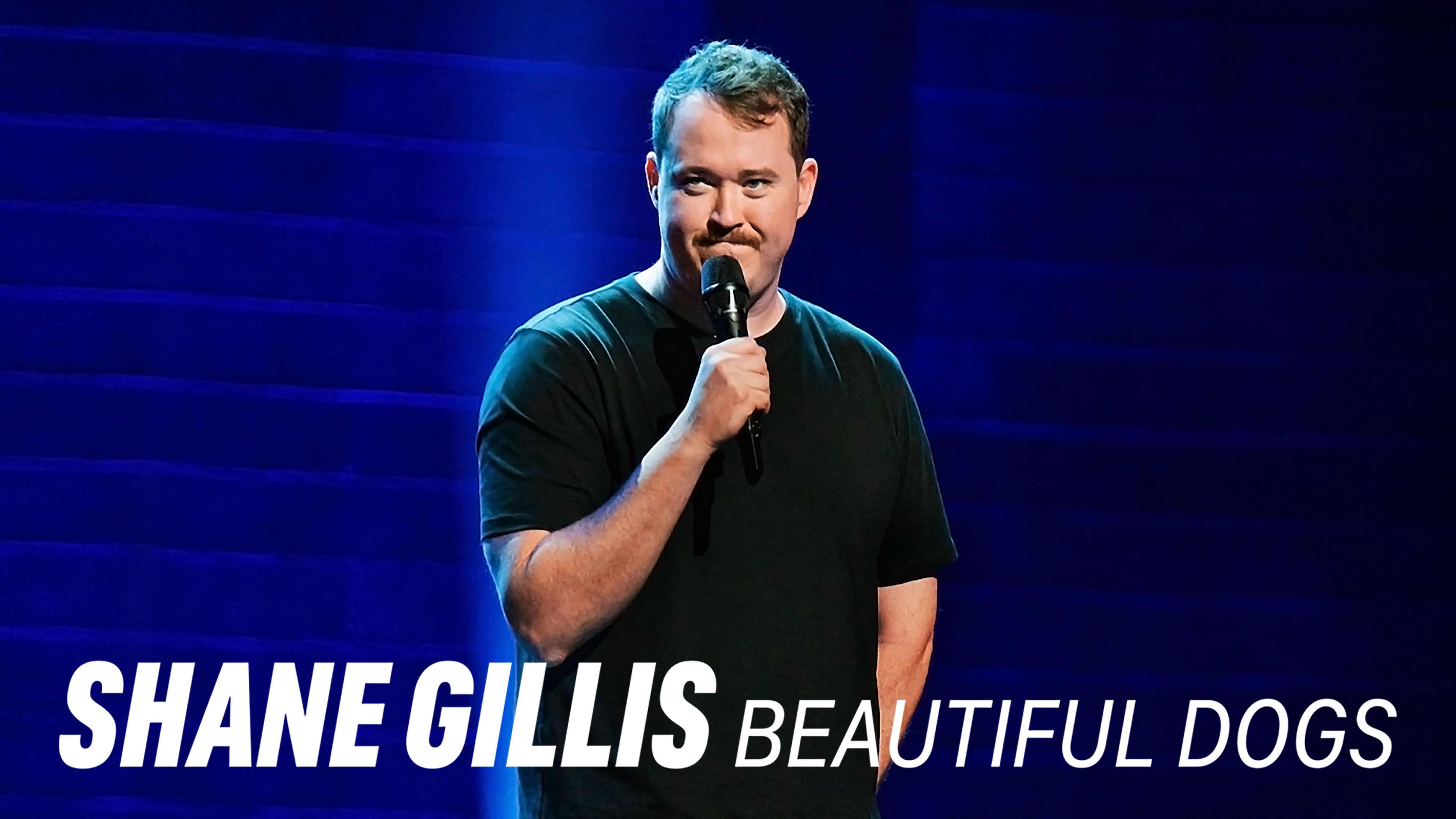 Shane Gillis: Beautiful Dogs - Netflix Stand-up Special - Where To Watch