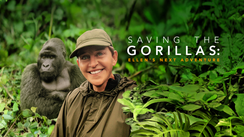 Saving the Gorillas: Ellen's Next Adventure - Discovery Channel