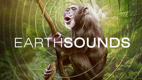Earthsounds