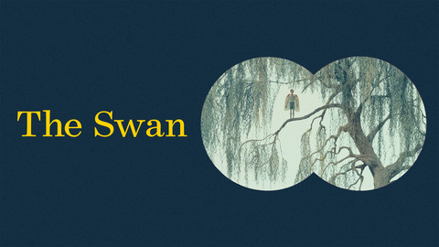 The Swan