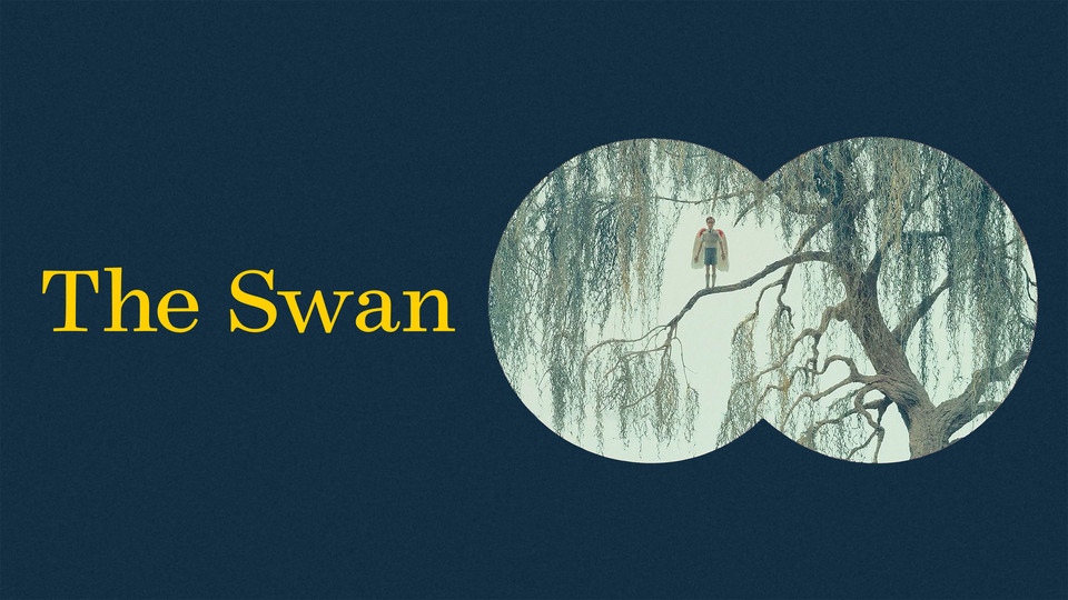 The Swan - Netflix