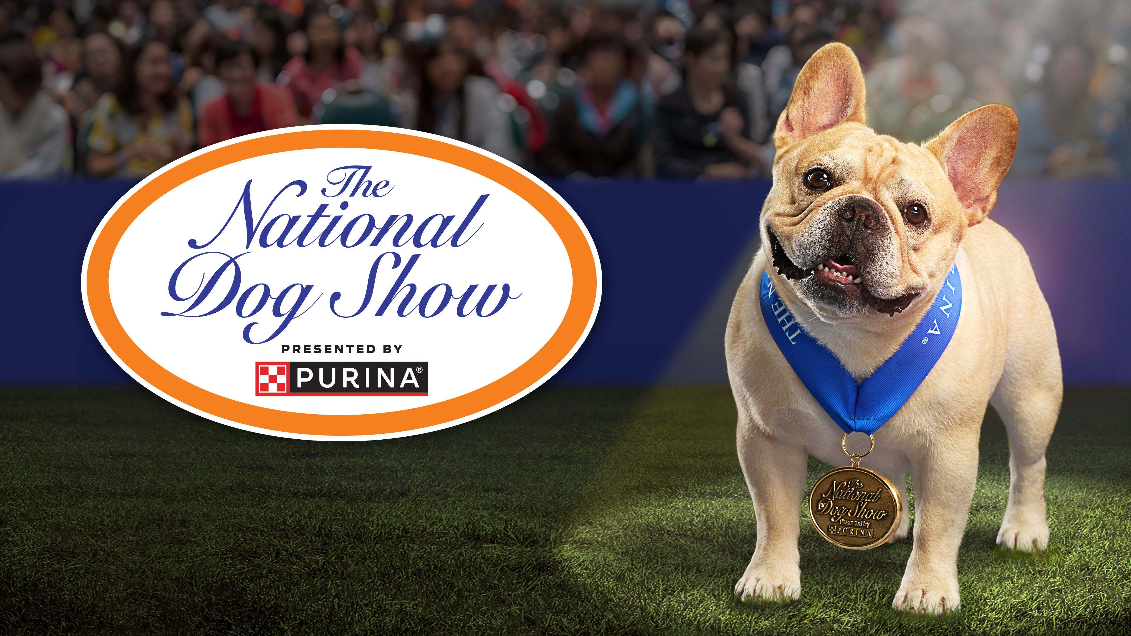 2019 national 2024 dog show