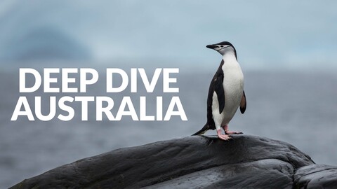 Deep Dive Australia